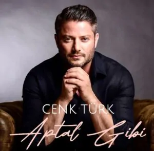 دانلود آهنگ Aptal Gibi از Cenk Türk